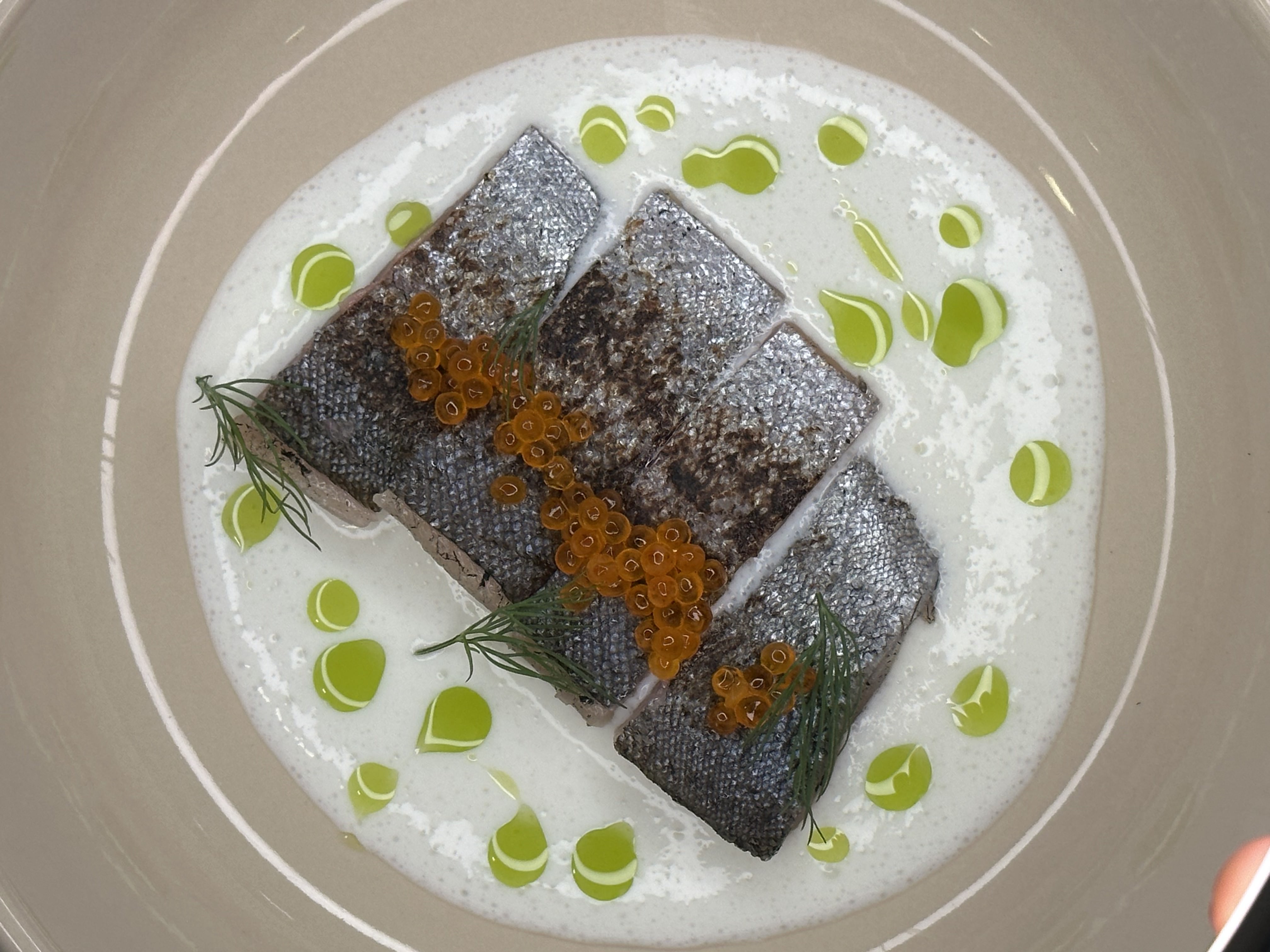 Pstruh, crème fraîche, kaviár