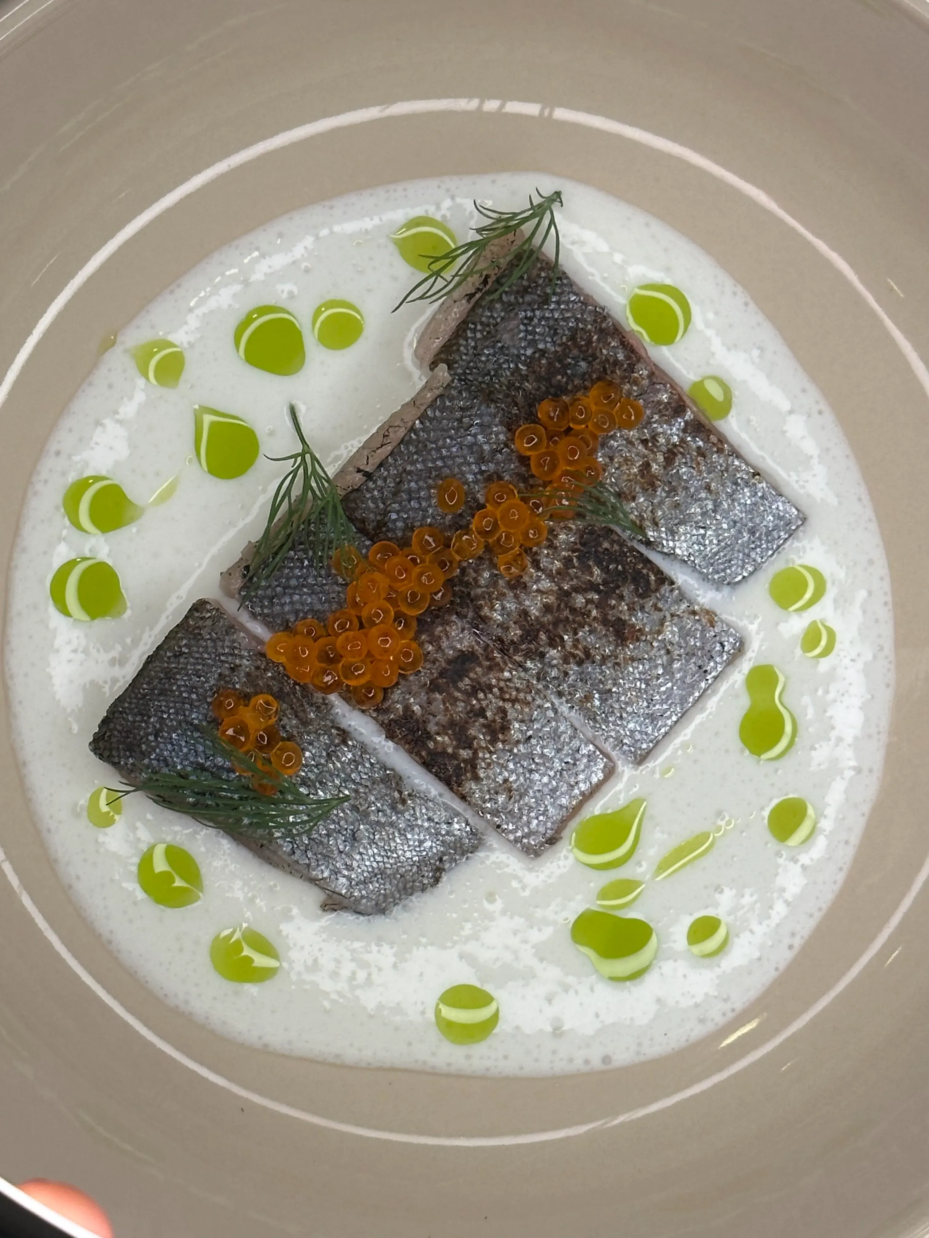 Pstruh, crème fraîche, kaviár